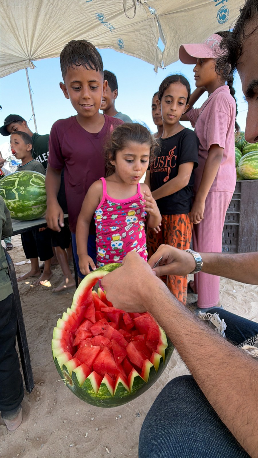 Watermelon Brings Refreshment to Displaced Families in Gaza